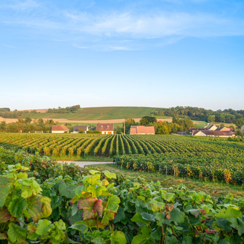 Champagne Region